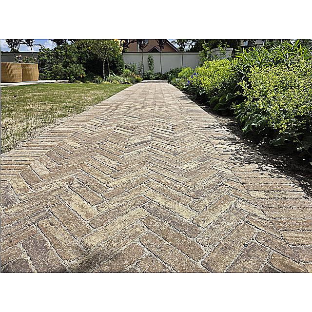Forbet Linetto